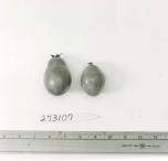 Click for 1 image(s) for this accession. FRUIT